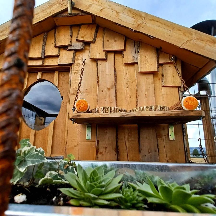 La Cabane Du Coing Visé Esterno foto